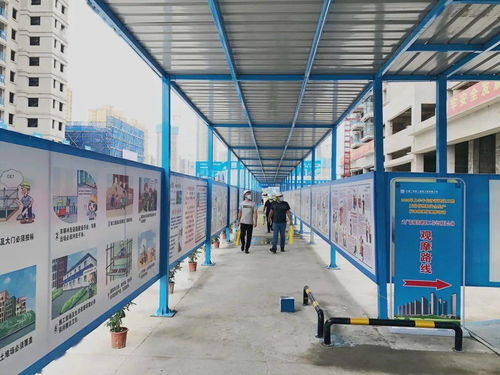 高颜值，高标准——公司武广新城项目成功承办长沙市附着式升降脚手架观摩会